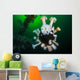 Giant Plumose Anemones Wreck Wall Decal