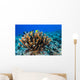Antler Coral Grows Volcanic Wall Decal