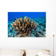 Antler Coral Grows Volcanic Wall Decal
