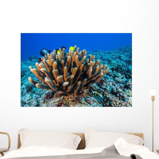 Antler Coral Grows Volcanic Wall Decal