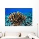 Antler Coral Grows Volcanic Wall Decal
