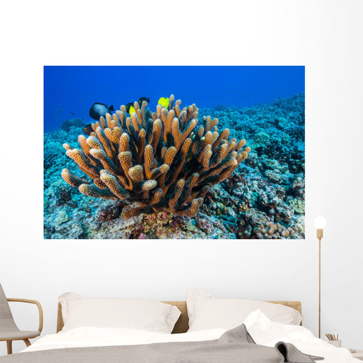 Antler Coral Grows Volcanic Wall Decal