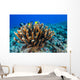 Antler Coral Grows Volcanic Wall Decal