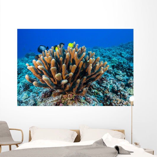 Antler Coral Grows Volcanic Wall Decal