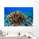 Antler Coral Grows Volcanic Wall Decal