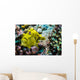 Giant Frogfish Kona Hawaii Wall Decal