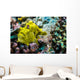 Giant Frogfish Kona Hawaii Wall Decal
