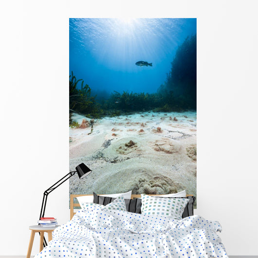 Cream Wheat Springs Bubble Vertical Wall Decal