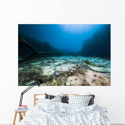 Cream Wheat Springs Bubble Wall Decal