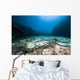Cream Wheat Springs Bubble Wall Decal