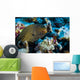 Whitemouth Moray Eels Kona Wall Decal