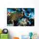 Whitemouth Moray Eels Kona Wall Decal