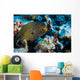 Whitemouth Moray Eels Kona Wall Decal