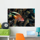 Coral Grouper Kona Hawaii Wall Decal