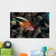 Coral Grouper Kona Hawaii Wall Decal