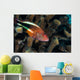 Coral Grouper Kona Hawaii Wall Decal