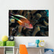 Coral Grouper Kona Hawaii Wall Decal