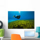 Scuba Diver Clear Lake Wall Decal