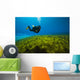 Scuba Diver Clear Lake Wall Decal
