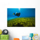 Scuba Diver Clear Lake Wall Decal