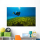 Scuba Diver Clear Lake Wall Decal