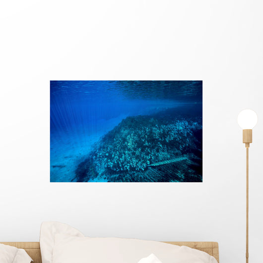 Volcanic Activity Created Clear Wall Decal