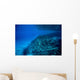 Volcanic Activity Created Clear Wall Decal