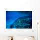 Volcanic Activity Created Clear Wall Decal