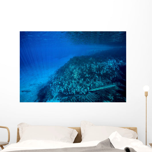 Volcanic Activity Created Clear Wall Decal