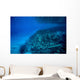 Volcanic Activity Created Clear Wall Decal