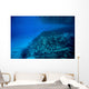 Volcanic Activity Created Clear Wall Decal