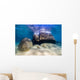 Boulders Lake Tahoe Nevada Wall Decal
