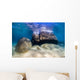 Boulders Lake Tahoe Nevada Wall Decal