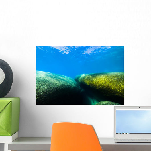 Moss Covered Boulders Lake Tahoe Nevada Wall Decal