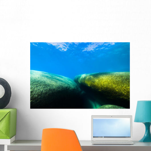 Moss Covered Boulders Lake Tahoe Nevada Wall Decal