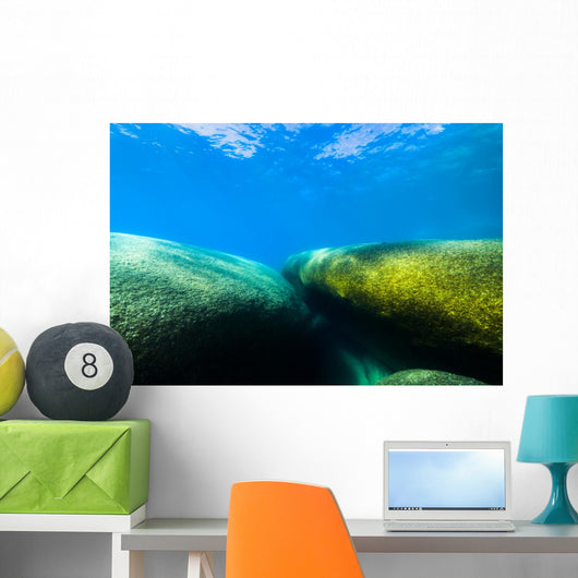 Moss Covered Boulders Lake Tahoe Nevada Wall Decal