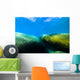 Moss Covered Boulders Lake Tahoe Nevada Wall Decal