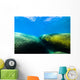 Moss Covered Boulders Lake Tahoe Nevada Wall Decal