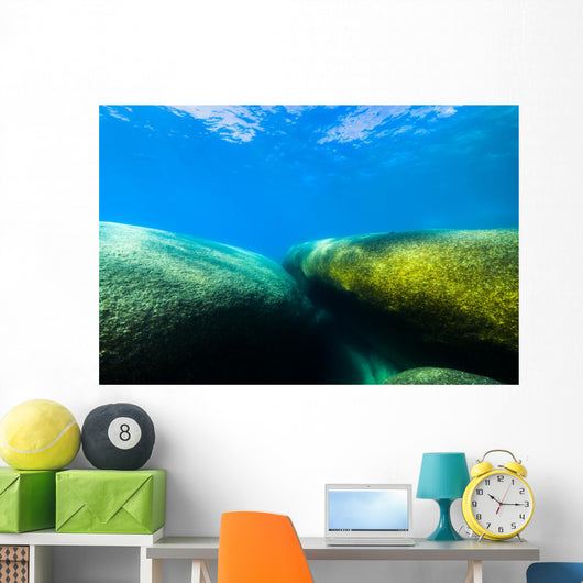 Moss Covered Boulders Lake Tahoe Nevada Wall Decal
