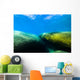 Moss Covered Boulders Lake Tahoe Nevada Wall Decal