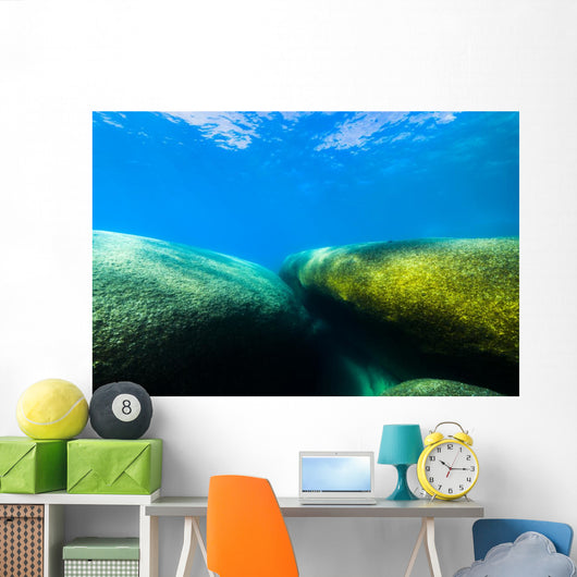 Moss Covered Boulders Lake Tahoe Nevada Wall Decal