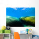 Moss Covered Boulders Lake Tahoe Nevada Wall Decal
