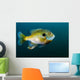 Bluegill Sunfish School Lake Wall Decal