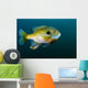 Bluegill Sunfish School Lake Wall Decal