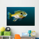 Bluegill Sunfish School Lake Wall Decal