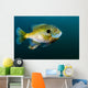 Bluegill Sunfish School Lake Wall Decal
