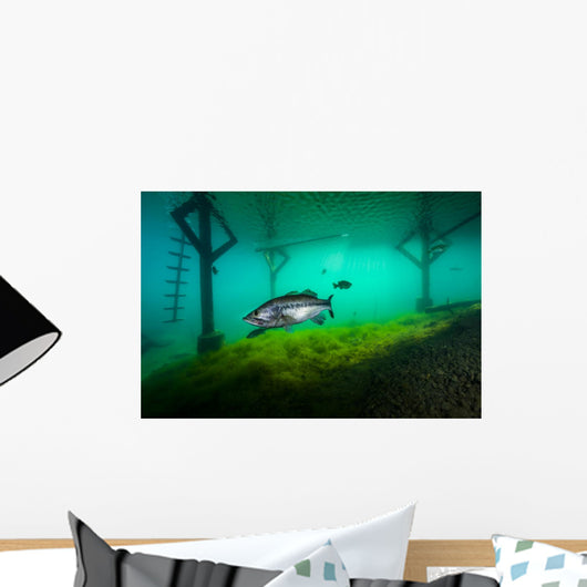 Largemoouth Bass Hiding under Wall Decal