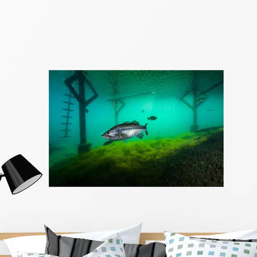 Largemoouth Bass Hiding under Wall Decal