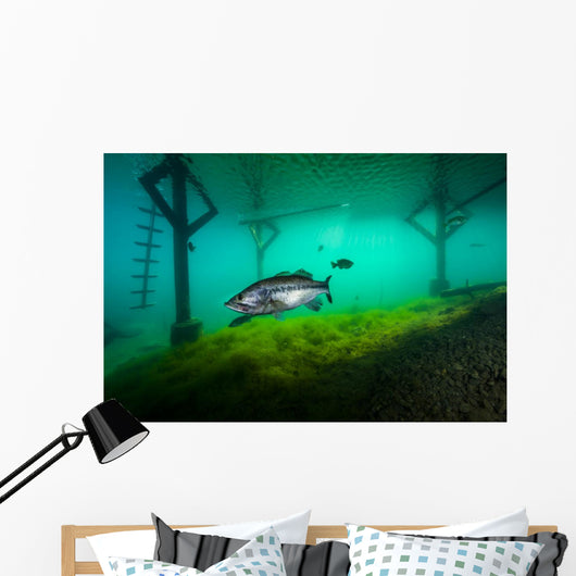 Largemoouth Bass Hiding under Wall Decal