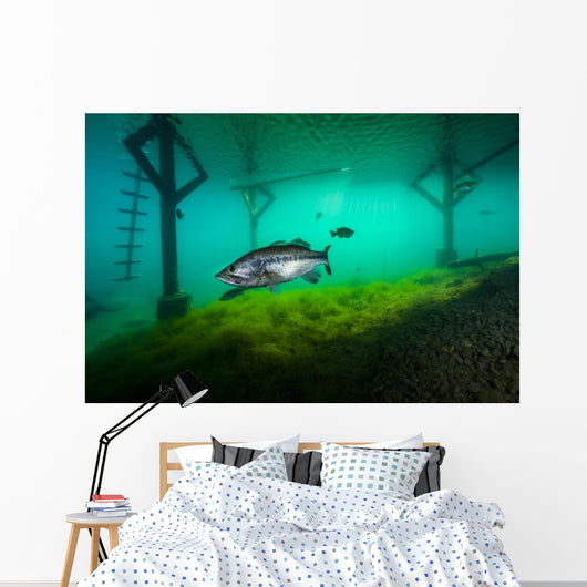 Largemoouth Bass Hiding under Wall Decal
